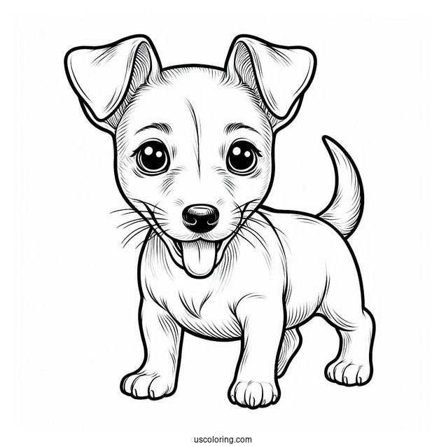 Jack Russell Dog With Perked Ears Coloring In