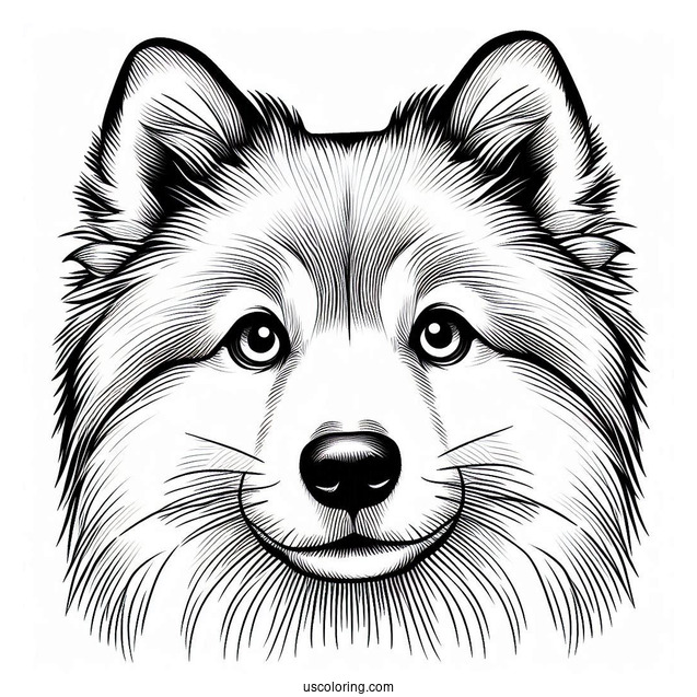 Close Up Of Dog Face Coloring Sheet