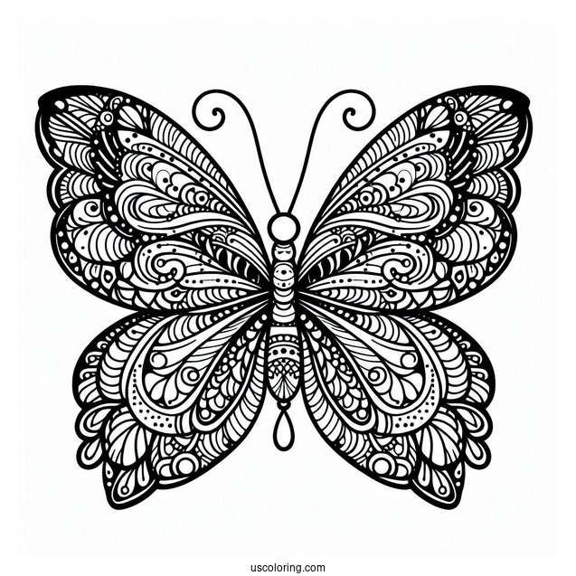 Butterfly Coloring Page Zentangle With Elaborate Wings
