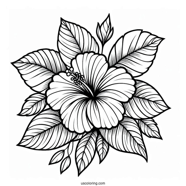 Flower Coloring Pages Of Large Hibiscus Among Leaves