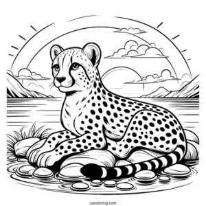 Cheetah Coloring Page Resting By The Sea