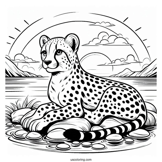 Cheetah Coloring Page Resting By The Sea
