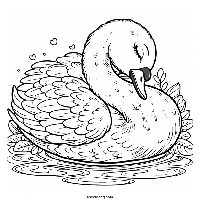 Detailed Swan Coloring Page Sleeping On Pond