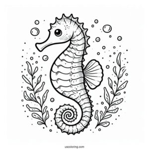 Easy Outline Of a Baby Seahorse To Color