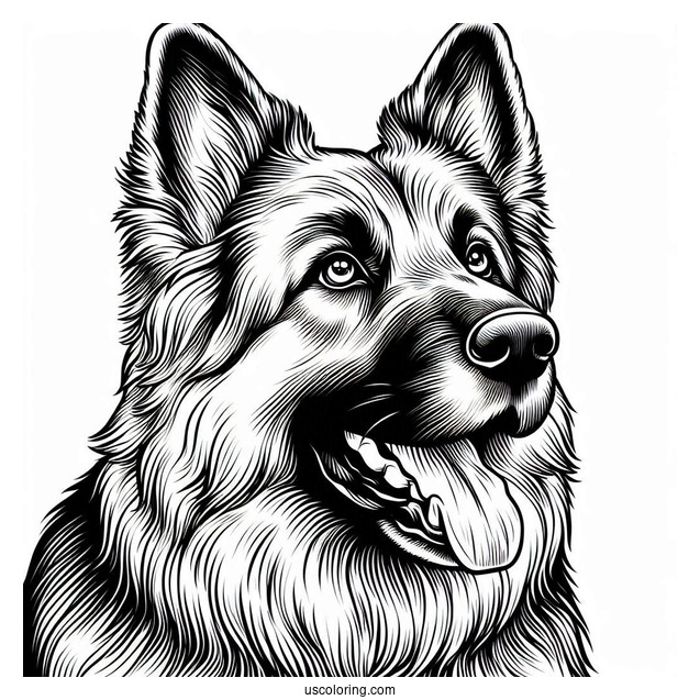 Big German Shepherd Dog