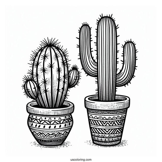 Baby Saguaro Cactus In South American Style Pot