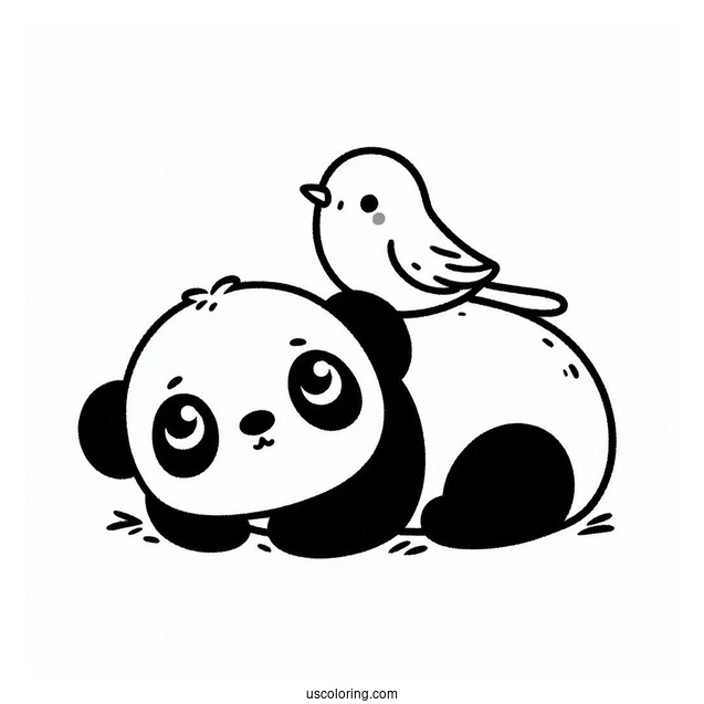 Tiny Bird Sitting On Baby Panda Coloring Page Head