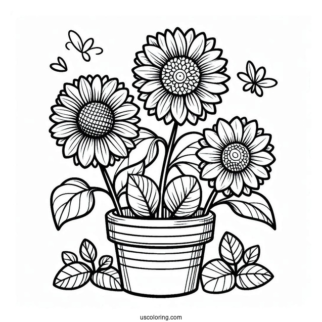 Flower Coloring Pages Of Three Happy Sunflowers In Garden Pot