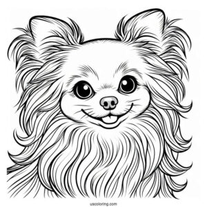 Long Hair Chihuahua Coloring Page Smiling For Kids