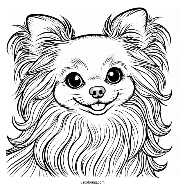 Long Hair Chihuahua Coloring Page Smiling For Kids