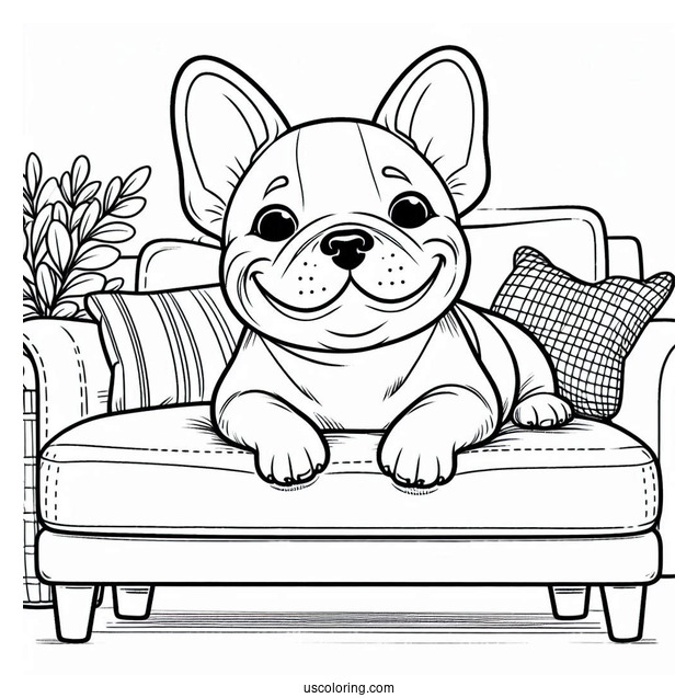 Smiling French Bulldog On Sofa Coloring In