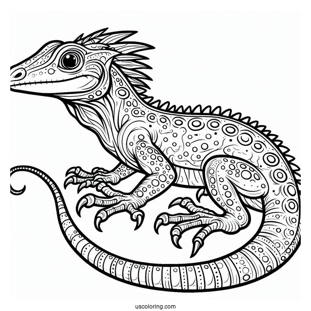 Easy Dragon Lizard Coloring Page