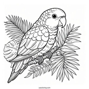 Easy To Color Caique Parrot