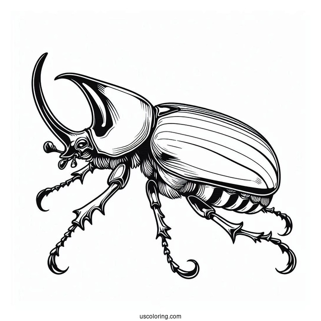 Eastern Hercules Beetle Coloring Page