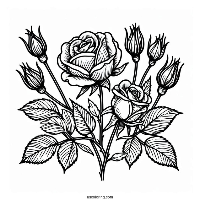 Blooming Roses Coloring Sheet