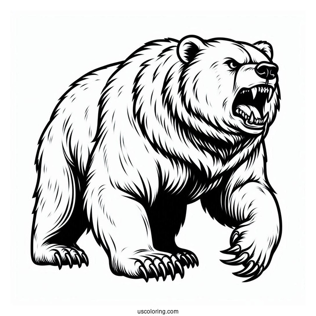 Bear Coloring Page With Sharp Teeth And Claws