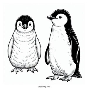 Chinstrap Penguin Coloring Page For Kids