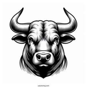 Front View Of Big Bull