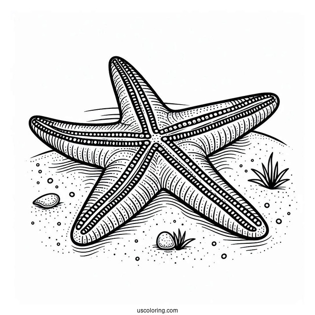 Easy Starfish Coloring Page On The Sand for Kids