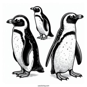 Humboldt Penguin Coloring Page