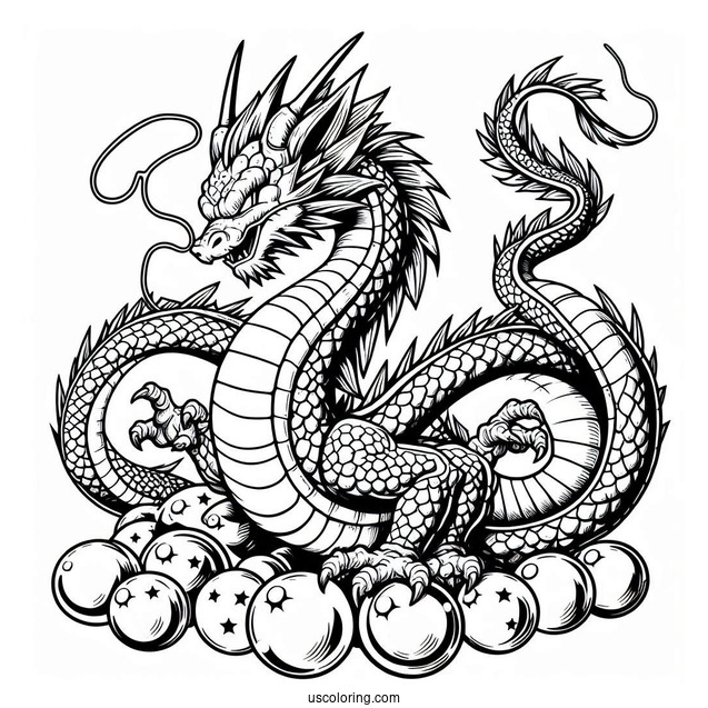 Shenron Dragon With Balls To Color