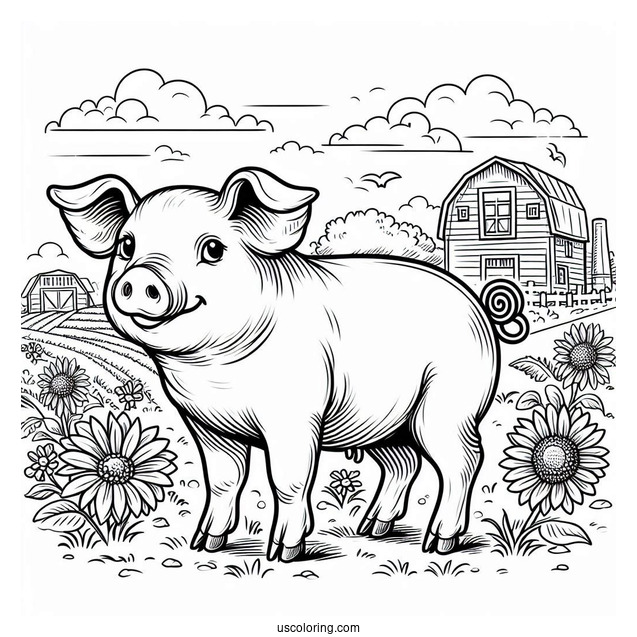 Farm Bred Pig To Color