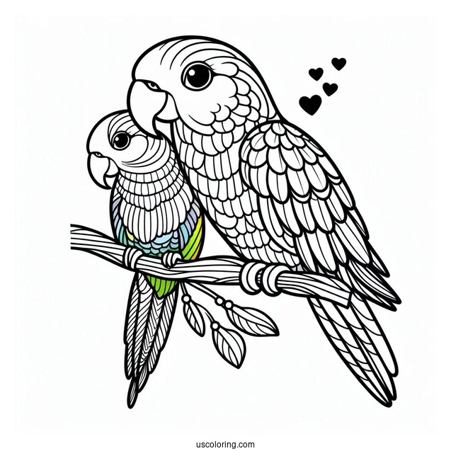 Easy Parrot To Color For Kids