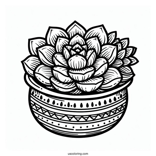 Simple Succulent Coloring Page Pot For Kids