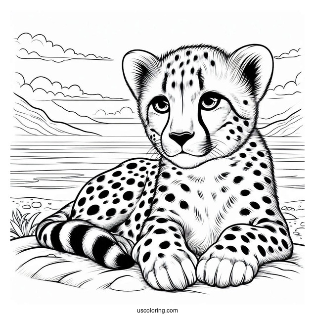 Cheetah Coloring Page Resting By The Sea