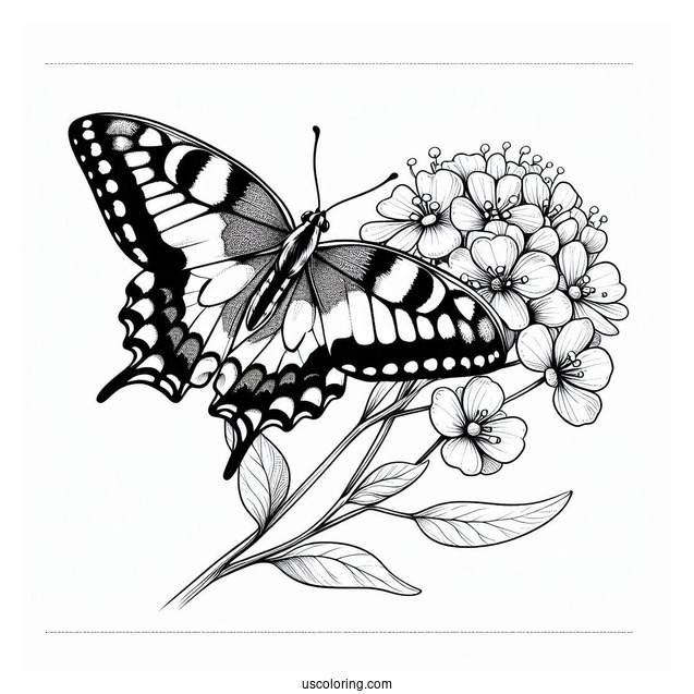 Swallowtail Butterfly Resting On Flower