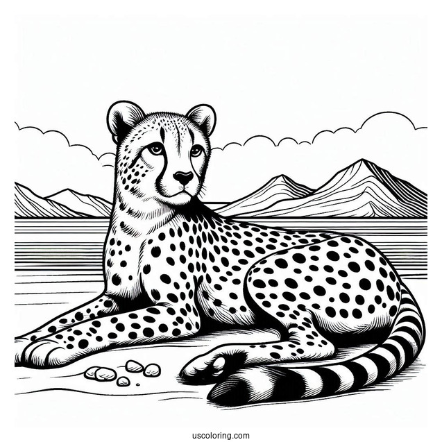 Cheetah Coloring Page Resting By The Sea
