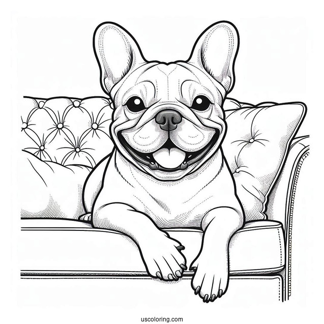Smiling French Bulldog On Sofa Coloring In