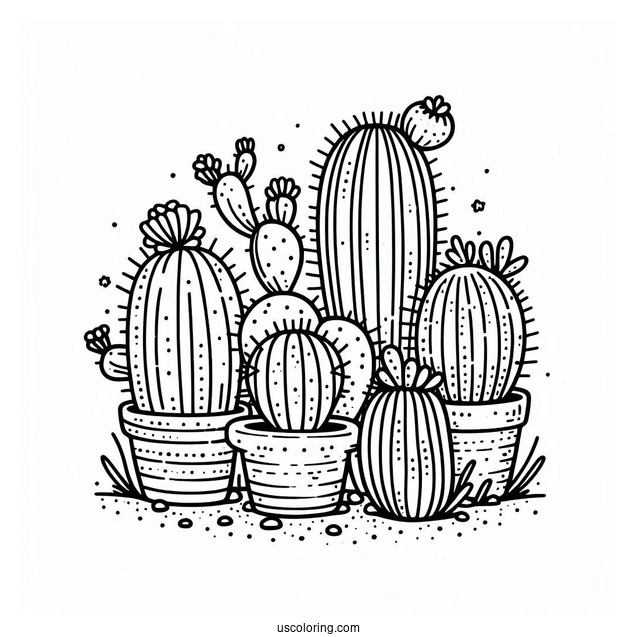 Easy Outline Of Cactus Plants For Toddlers