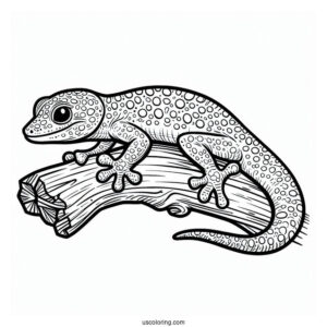 Gecko Lizard Coloring Page On Wood Coloring Page