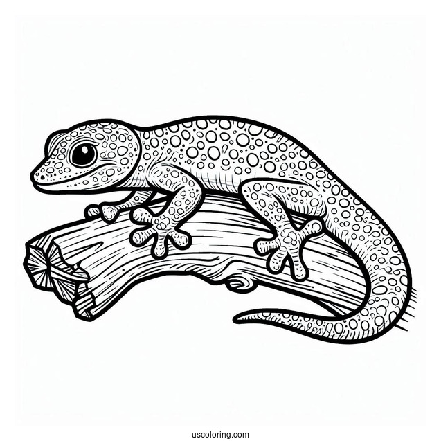 Gecko Lizard Coloring Page On Wood Coloring Page