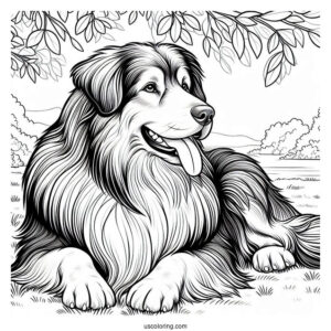 Large Sheepdog Resting In The Field Coloring Page