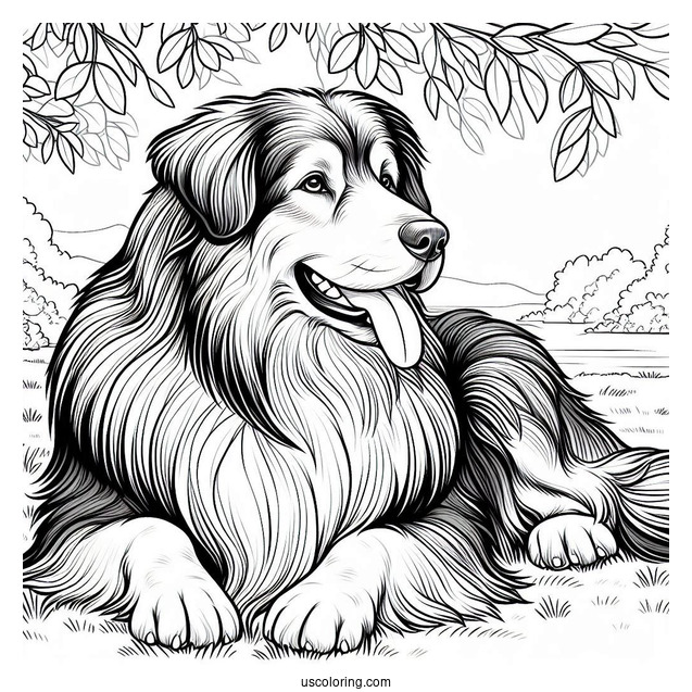 Large Sheepdog Resting In The Field Coloring Page