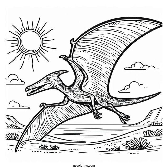 Large Pterodactyl Coloring Page Under The Sun