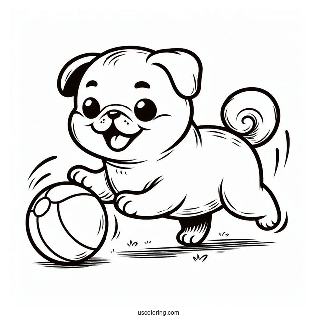 Happy Pug Chasing After Ball