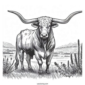 Texas Longhorn In The Field