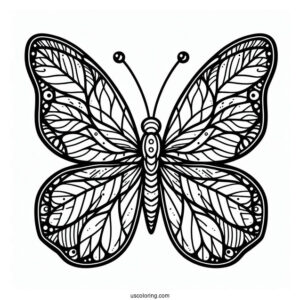 Adorable Butterfly Coloring Page With Sectioned Body