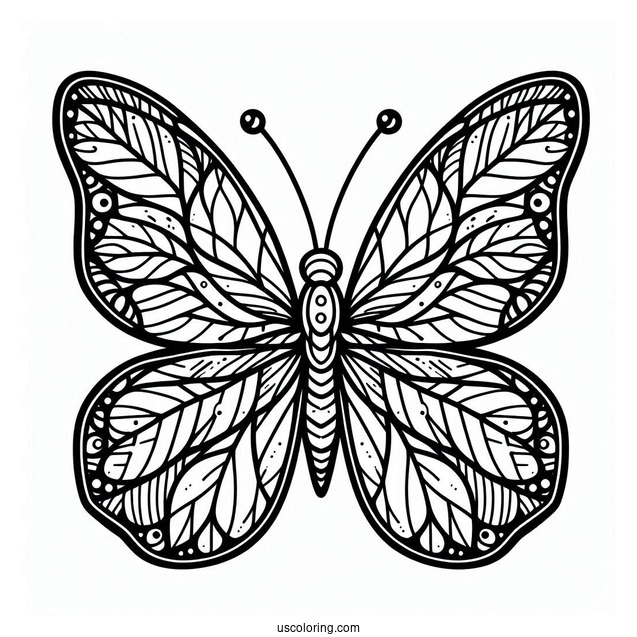 Adorable Butterfly Coloring Page With Sectioned Body