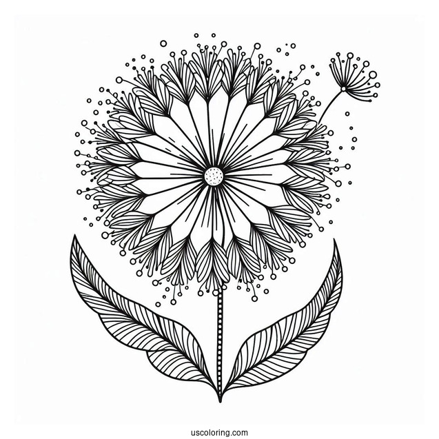 Elegant Dandelion Pattern Coloring Page