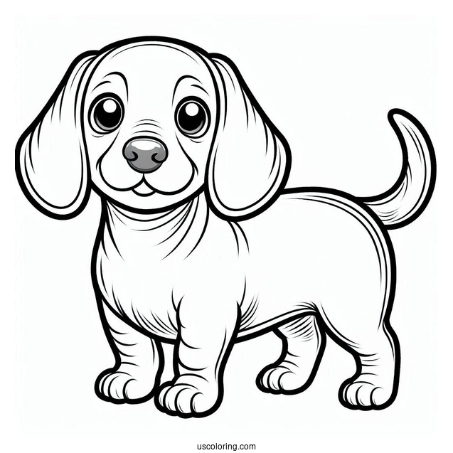 Cute Puppy Dachshund Coloring Page
