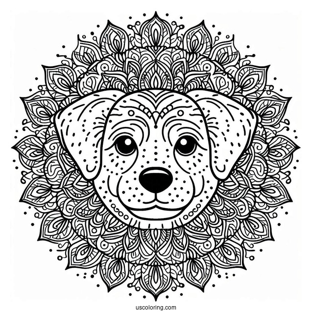 Intricate Dog Face Mandala