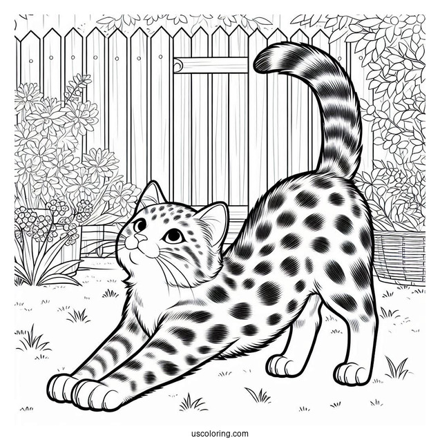 Spotted Cat Stretching In Backyard Coloring In