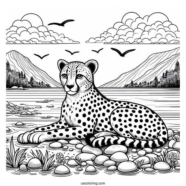 Cheetah Coloring Page Resting By The Sea