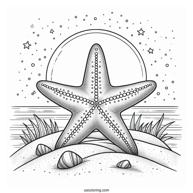 Easy Starfish Coloring Page On The Sand for Kids