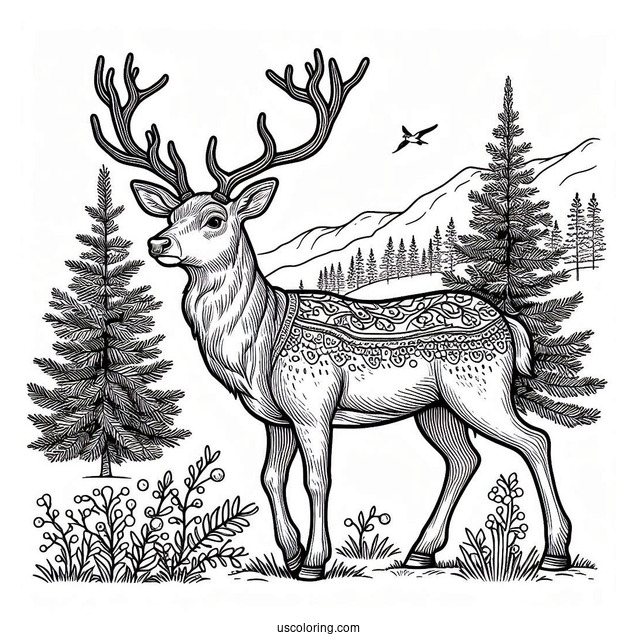 Coloring Page Of a Realistic Looking Reindeer