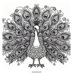 Majestic Peacock Showing Off Feathers